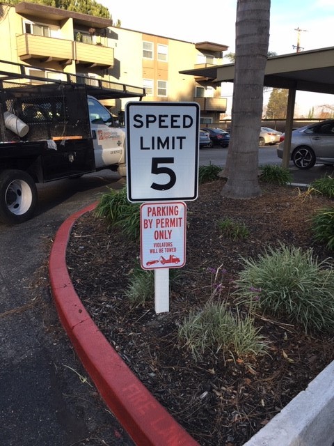 500 - The Grove - Speed Limit